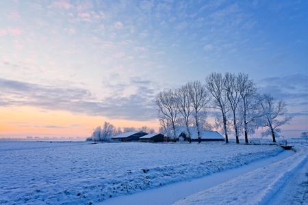 Farm in a cold white winter landscapeの写真素材