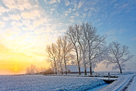 Cold white winter landscape at sunset in Hollandの写真素材
