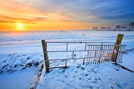 Grassland and fence in winter at sunsetの写真素材