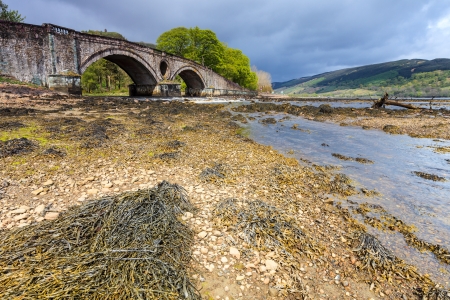 Landscape with bridge and river on a cloudy dayの写真素材