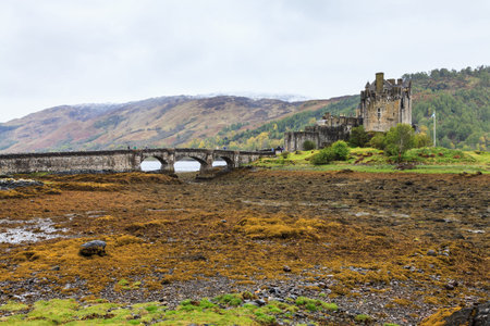 Eilan Donan castle at low water  in Scotlandの写真素材