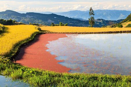 Landscape with lake on a sunny dayの写真素材