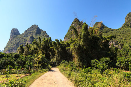 Road through a bamboo forest with steep mountains in the backgroundの写真素材