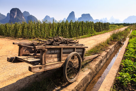 Chariot with branches in a limestone valley landscape in South Chinaの写真素材