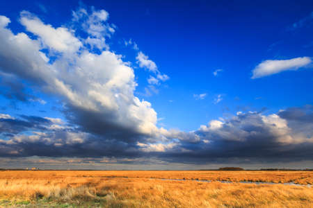 Meadow landscape with beautiful cloudscape in the eveningの写真素材