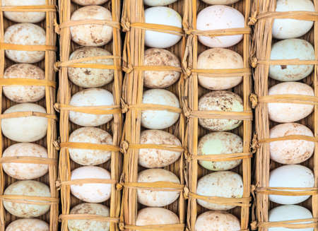 Eggs bound together with leaves lying on the groundの写真素材