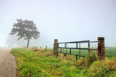 Cold morning landscape with dew on the grass in autumnの写真素材