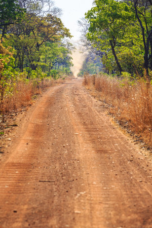 Sandstorm on an abandon sand road in Africa through a forestの写真素材