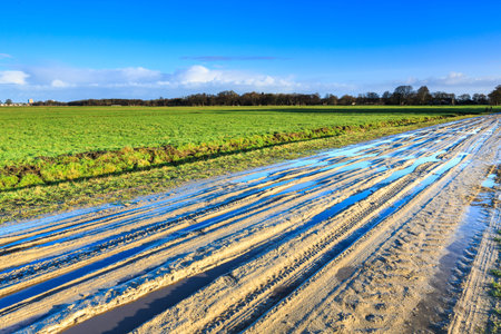 Muddy wet sand lane in landscape on sunny day