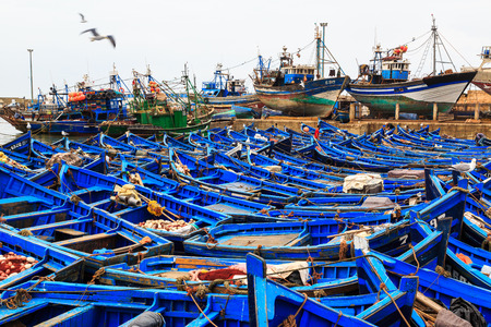 Small blue fishing boats in the harbor of Essaouira, Moroccoのeditorial素材