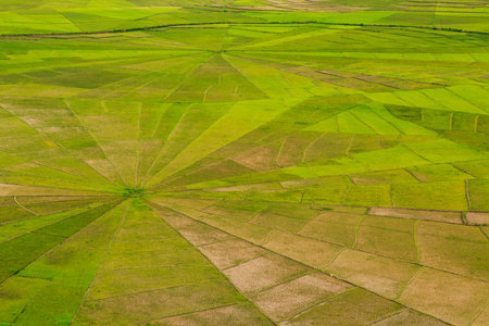 Famous spiderweb shaped rice terraces at Flores island, Indonesia