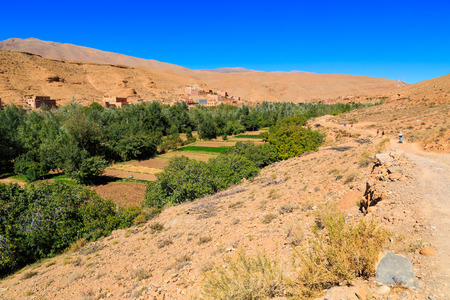 Landscape of a typical moroccan berber village made of red stone with oasis in the valleyの写真素材