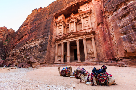Camels in front of the Treasury at Petra the ancient City  Al Khazneh in Jordan lit by the sunの写真素材
