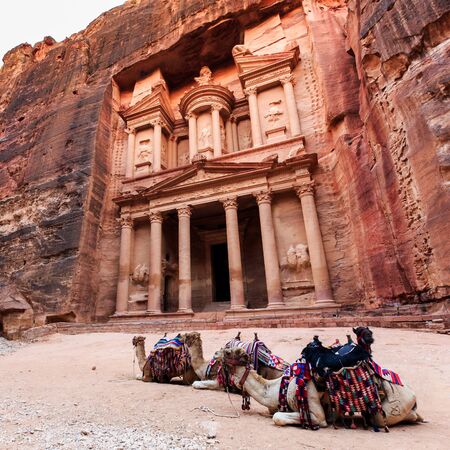 Camels in front of the Treasury at Petra the ancient City  Al Khazneh in Jordan lit by the sunの写真素材