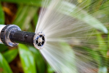 sprinkler of automatic watering