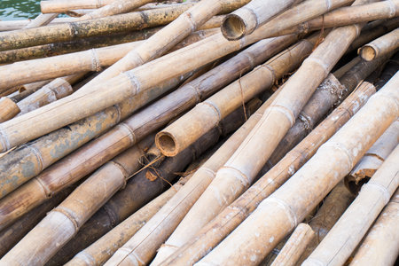 bamboo for industry construction