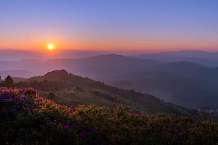 Sunrise at Doi Pha Tang in Chiangrai, Thailandの写真素材
