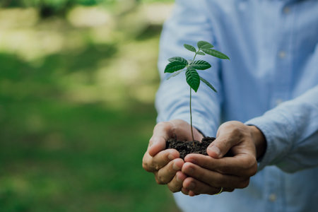 Business hands holding young plant on blur green nature background.World environment day. Global community teamwork.Volunteer charity work.の写真素材