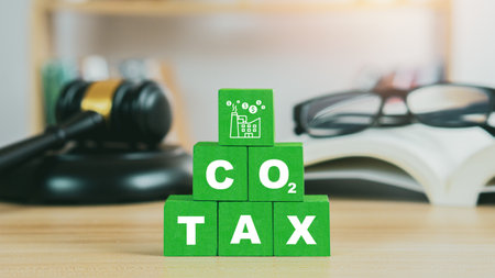 Concept of green Co2 Tax.Carbon tax, environmental and social responsibility business concept. Taxation for nature pollution.Wooden cubes with CO2 TAX word.の写真素材
