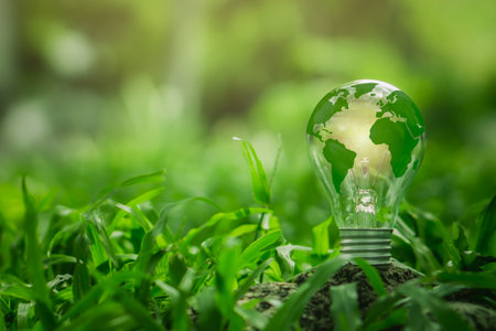 Light bulb with green world map on natural backgound represents renewable energy.Green energy,energy saving concept.の写真素材