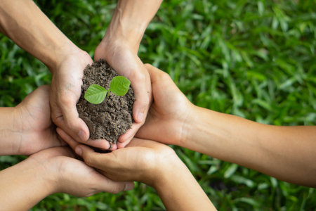 Group of man hands holding or cupping young plant. Nurture grow Environmental and reduce global...