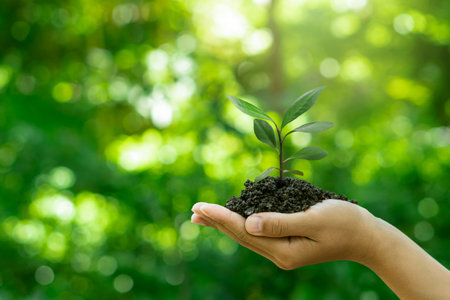 Eco earth day concept.Hand holding young plant growing on green background.Plant growth, and environmental protection concept.の写真素材