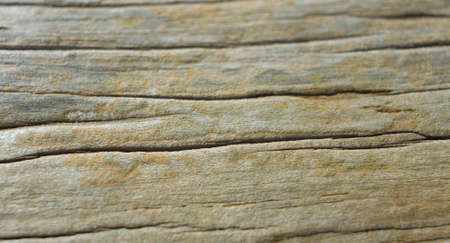 Rustic wood backgroundの写真素材