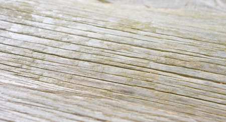 Nature background grain vintage woodの写真素材