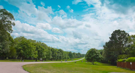 Windsor The Long Walk avenue walking parkの写真素材