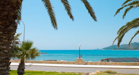 Mediterranean Sea and palm trees, Summer in Spain, Costa Doradaの写真素材