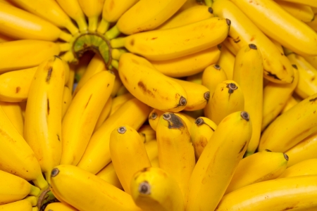 Bunch Of Organic Ripe Bananasの写真素材