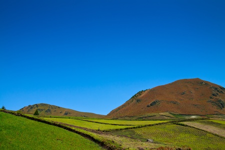 green field and blue skyの写真素材