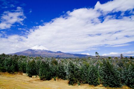 Cotopaxi volcano, Ecuadorの写真素材