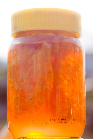 Natural Honey jar with panel honeycomb bitsの写真素材