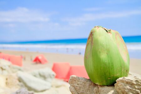 Tropical Beach with coconut  and tents campingの写真素材