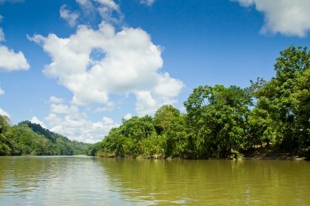 tropical rain forest river with blue skyesの写真素材