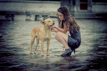 Girl comforting a with dog under rain の写真素材