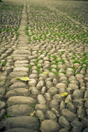cobblestone vintage road Color processedの写真素材