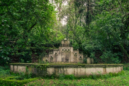 Old fountain in the jungle covered with plantsの写真素材