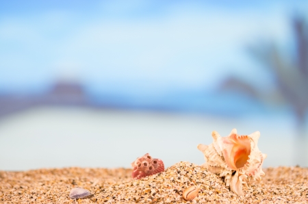  sandy beach in summer conceptの写真素材