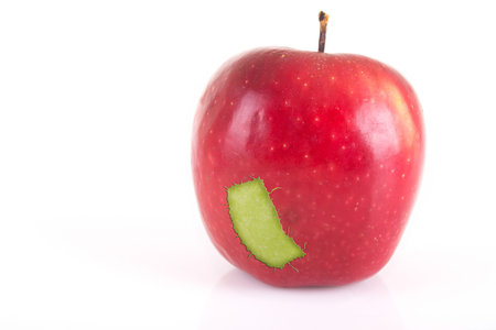 apple with green patch isolated over white