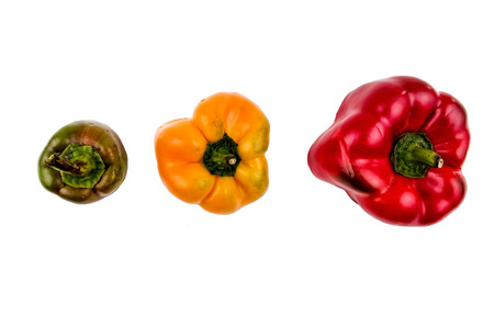 peppers on a white backgroundの写真素材