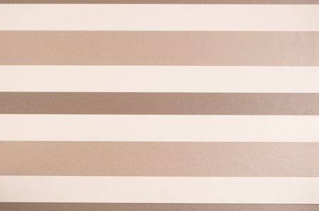color paper background, lines