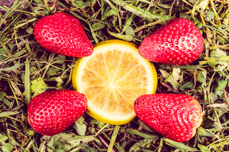 strawberries and oranges compositionの写真素材