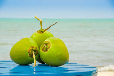 two coconuts on a table by the beach in livingston guatemalaの写真素材