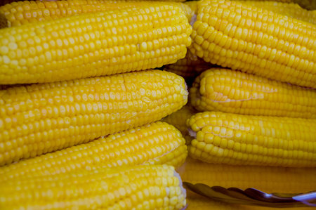 delicious pile of yellow corns close upの写真素材