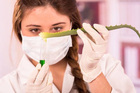 closeup portrait of young female biologist wearing mask experimenting with leaf in labの写真素材