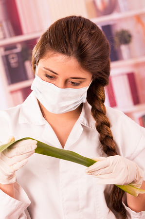 young female biologist wearing mask experimenting with leaf in labの写真素材