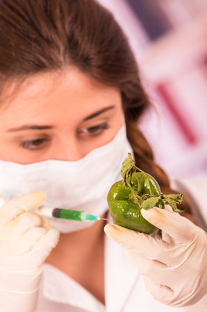 young beautiful female biologist experimenting with green pepper in lab concept of genetically modified foodの写真素材