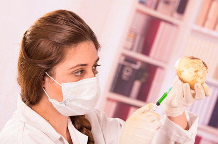 beautiful young female biologist experimenting with white onion in lab concept of genetically modified foodの写真素材
